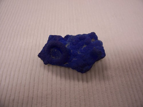 Azurite. Apex Mine, St. George, Washington Co., Utah, USA.